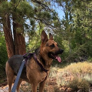 Meet your Posher, Tracy